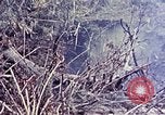 Image of United States Marines Okinawa Ryukyu Islands, 1945, second 38 stock footage video 65675052821