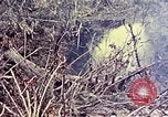 Image of United States Marines Okinawa Ryukyu Islands, 1945, second 39 stock footage video 65675052821