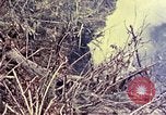 Image of United States Marines Okinawa Ryukyu Islands, 1945, second 40 stock footage video 65675052821