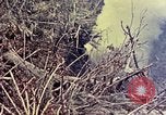 Image of United States Marines Okinawa Ryukyu Islands, 1945, second 41 stock footage video 65675052821