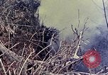 Image of United States Marines Okinawa Ryukyu Islands, 1945, second 44 stock footage video 65675052821