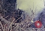 Image of United States Marines Okinawa Ryukyu Islands, 1945, second 47 stock footage video 65675052821
