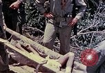 Image of United States Marines Okinawa Ryukyu Islands, 1945, second 49 stock footage video 65675052821