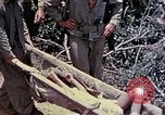 Image of United States Marines Okinawa Ryukyu Islands, 1945, second 50 stock footage video 65675052821