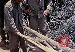 Image of United States Marines Okinawa Ryukyu Islands, 1945, second 51 stock footage video 65675052821