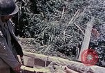 Image of United States Marines Okinawa Ryukyu Islands, 1945, second 55 stock footage video 65675052821