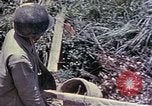 Image of United States Marines Okinawa Ryukyu Islands, 1945, second 57 stock footage video 65675052821