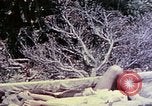 Image of United States Marines Okinawa Ryukyu Islands, 1945, second 60 stock footage video 65675052821
