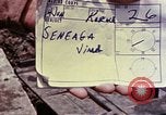 Image of hills with Japanese fortifications Okinawa Ryukyu Islands, 1945, second 3 stock footage video 65675052822