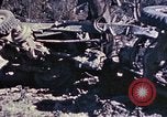 Image of Japanese cave Okinawa Ryukyu Islands, 1945, second 59 stock footage video 65675052823