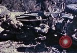 Image of Japanese cave Okinawa Ryukyu Islands, 1945, second 60 stock footage video 65675052823