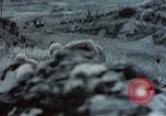 Image of United States Marines Okinawa Ryukyu Islands, 1945, second 62 stock footage video 65675052825