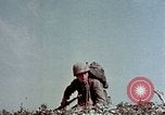 Image of 3rd Battalion 7th Marines Okinawa Ryukyu Islands, 1945, second 17 stock footage video 65675052828