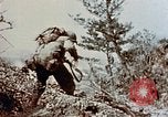 Image of 3rd Battalion 7th Marines Okinawa Ryukyu Islands, 1945, second 38 stock footage video 65675052828