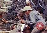 Image of 6th Marine Division Naha Okinawa Ryukyu Islands, 1945, second 14 stock footage video 65675052831