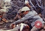 Image of 6th Marine Division Naha Okinawa Ryukyu Islands, 1945, second 16 stock footage video 65675052831
