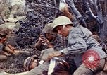 Image of 6th Marine Division Naha Okinawa Ryukyu Islands, 1945, second 17 stock footage video 65675052831