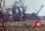Image of 6th Marine Division Naha Okinawa Ryukyu Islands, 1945, second 20 stock footage video 65675052831
