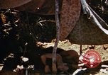 Image of 6th Marines Okinawa Ryukyu Islands, 1945, second 26 stock footage video 65675052835