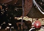 Image of 6th Marines Okinawa Ryukyu Islands, 1945, second 27 stock footage video 65675052835