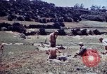 Image of 6th Marines Okinawa Ryukyu Islands, 1945, second 38 stock footage video 65675052835