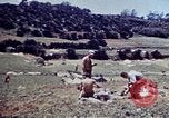 Image of 6th Marines Okinawa Ryukyu Islands, 1945, second 41 stock footage video 65675052835
