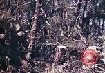 Image of 6th Marine Division 29th Regiment Okinawa Ryukyu Islands, 1945, second 25 stock footage video 65675052841