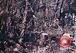 Image of 6th Marine Division 29th Regiment Okinawa Ryukyu Islands, 1945, second 26 stock footage video 65675052841