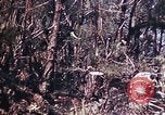 Image of 6th Marine Division 29th Regiment Okinawa Ryukyu Islands, 1945, second 27 stock footage video 65675052841