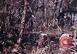 Image of 6th Marine Division 29th Regiment Okinawa Ryukyu Islands, 1945, second 29 stock footage video 65675052841