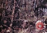 Image of 6th Marine Division 29th Regiment Okinawa Ryukyu Islands, 1945, second 30 stock footage video 65675052841