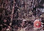 Image of 6th Marine Division 29th Regiment Okinawa Ryukyu Islands, 1945, second 31 stock footage video 65675052841
