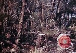 Image of 6th Marine Division 29th Regiment Okinawa Ryukyu Islands, 1945, second 32 stock footage video 65675052841
