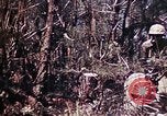 Image of 6th Marine Division 29th Regiment Okinawa Ryukyu Islands, 1945, second 33 stock footage video 65675052841