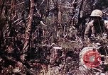 Image of 6th Marine Division 29th Regiment Okinawa Ryukyu Islands, 1945, second 34 stock footage video 65675052841