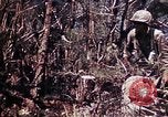 Image of 6th Marine Division 29th Regiment Okinawa Ryukyu Islands, 1945, second 35 stock footage video 65675052841