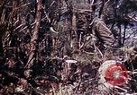 Image of 6th Marine Division 29th Regiment Okinawa Ryukyu Islands, 1945, second 36 stock footage video 65675052841