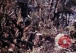 Image of 6th Marine Division 29th Regiment Okinawa Ryukyu Islands, 1945, second 37 stock footage video 65675052841