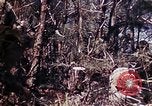 Image of 6th Marine Division 29th Regiment Okinawa Ryukyu Islands, 1945, second 38 stock footage video 65675052841
