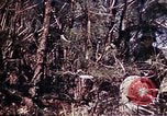 Image of 6th Marine Division 29th Regiment Okinawa Ryukyu Islands, 1945, second 39 stock footage video 65675052841