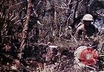 Image of 6th Marine Division 29th Regiment Okinawa Ryukyu Islands, 1945, second 40 stock footage video 65675052841