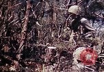 Image of 6th Marine Division 29th Regiment Okinawa Ryukyu Islands, 1945, second 42 stock footage video 65675052841