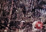Image of 6th Marine Division 29th Regiment Okinawa Ryukyu Islands, 1945, second 43 stock footage video 65675052841