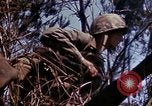 Image of 6th Marine Division 29th Regiment Okinawa Ryukyu Islands, 1945, second 44 stock footage video 65675052841