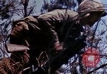 Image of 6th Marine Division 29th Regiment Okinawa Ryukyu Islands, 1945, second 45 stock footage video 65675052841