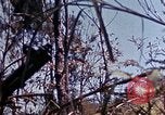 Image of 6th Marine Division 29th Regiment Okinawa Ryukyu Islands, 1945, second 51 stock footage video 65675052841