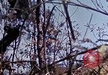 Image of 6th Marine Division 29th Regiment Okinawa Ryukyu Islands, 1945, second 52 stock footage video 65675052841