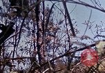 Image of 6th Marine Division 29th Regiment Okinawa Ryukyu Islands, 1945, second 53 stock footage video 65675052841
