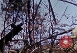Image of 6th Marine Division 29th Regiment Okinawa Ryukyu Islands, 1945, second 54 stock footage video 65675052841