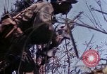 Image of 6th Marine Division 29th Regiment Okinawa Ryukyu Islands, 1945, second 55 stock footage video 65675052841
